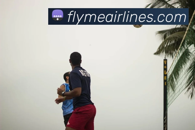 企业概况